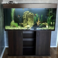 АКВАРИУМ 250-300 Л