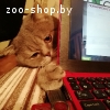 Котик-британец для вязки