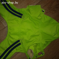 Куртки для собачки