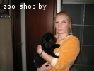 Ньюфаундленд