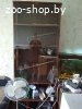 Продам шиншил