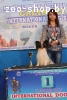 Вязка папильона
