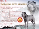 Вязка шар-пея